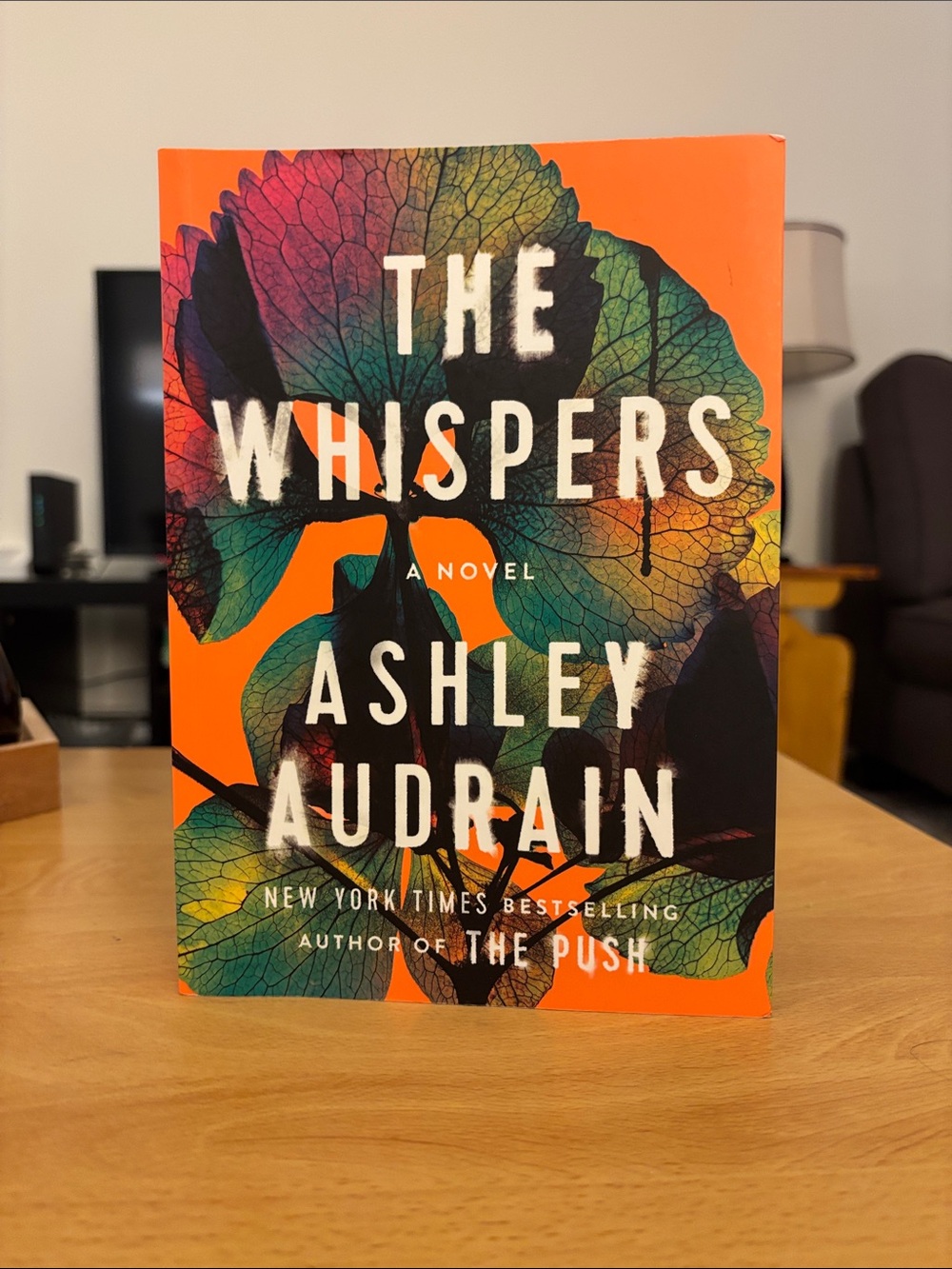 Domestic Mystery-Thriller Novel: The Whispers by Ashley Audrain